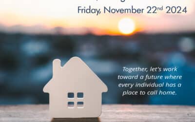 National Housing Day: Promoting Stability with HDS Allita